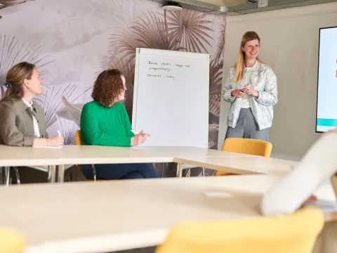 Cursus ICB